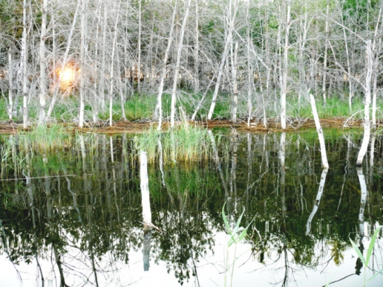 Рассвет на озере Топком